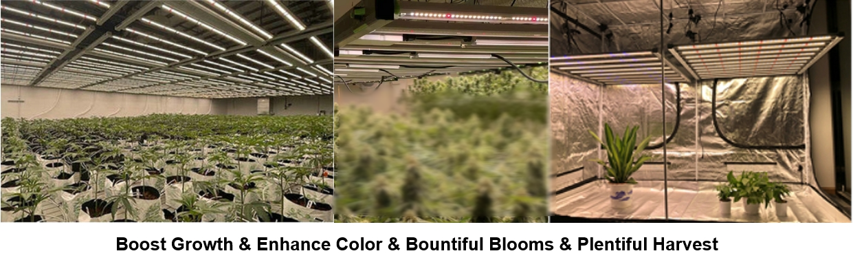 full spectrum led grow lights