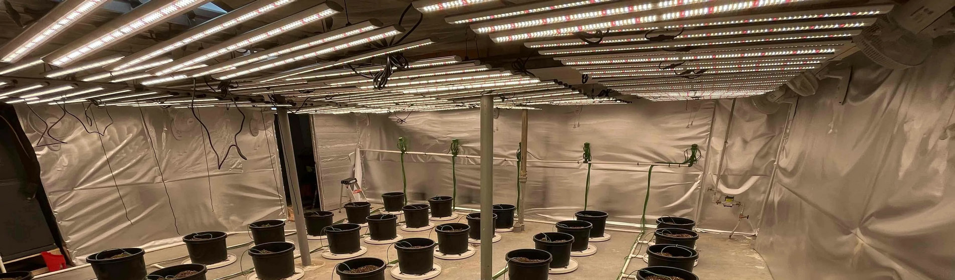 commercial grow lights