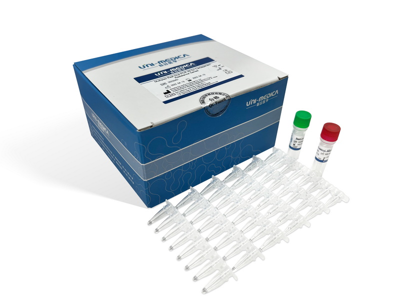 IFU-Multiplex Real time PCR Kit for Carbapenem Resistance Genes