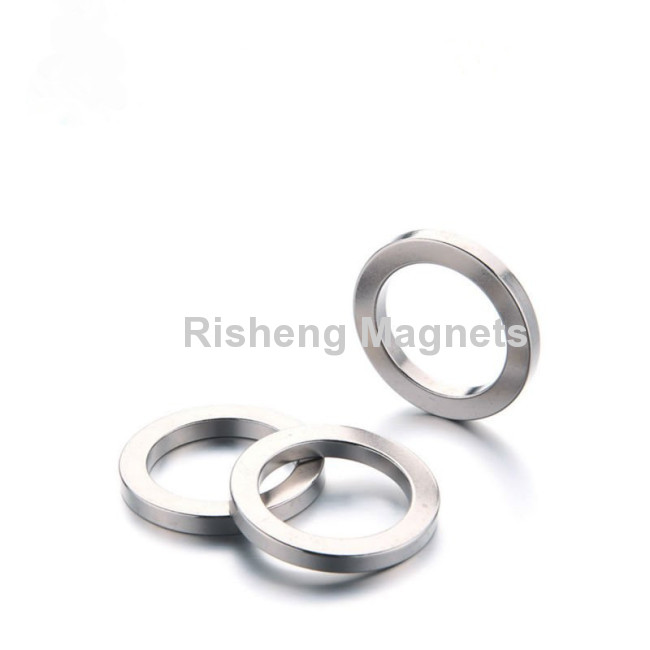 China Speaker Neodymium Magnets Supplier Rare Earth Dauermagnete