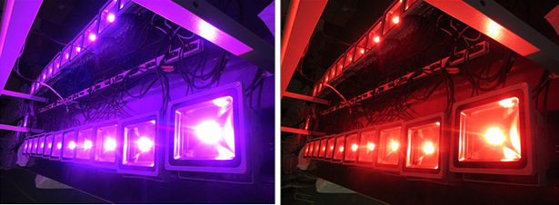 Color changing 20w LED flood light RGB with remote control