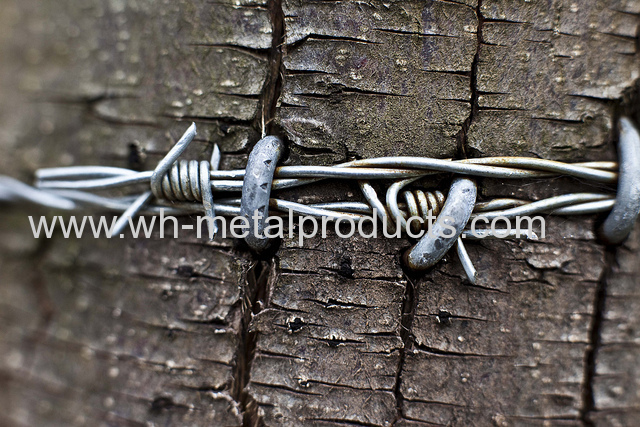 Hot dip galvanized reverse twist barbed wire Heavy galvanized barbed wire