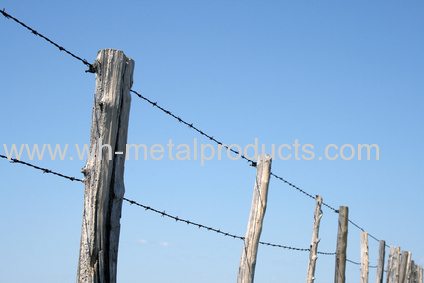 Hot dip galvanized reverse twist barbed wire Heavy galvanized barbed wire