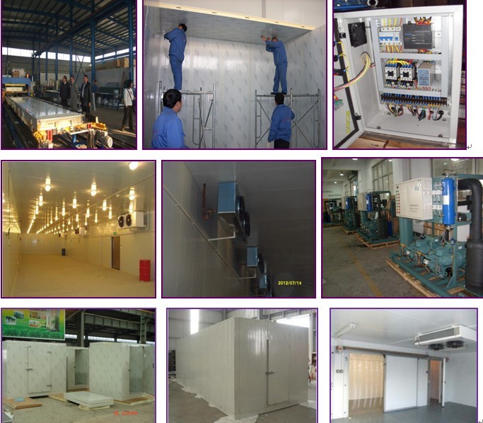 Cold Storage Warehouses -20 Degree 150mm Thick For Fruits / Vegetables