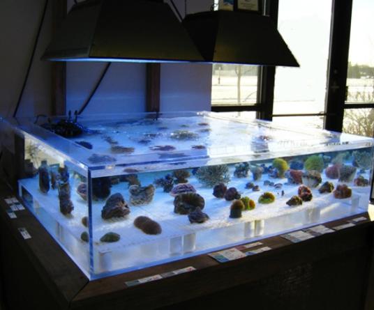300mm cylindrical Thick Plexiglass Acrylic Aquarium Tanks high clear
