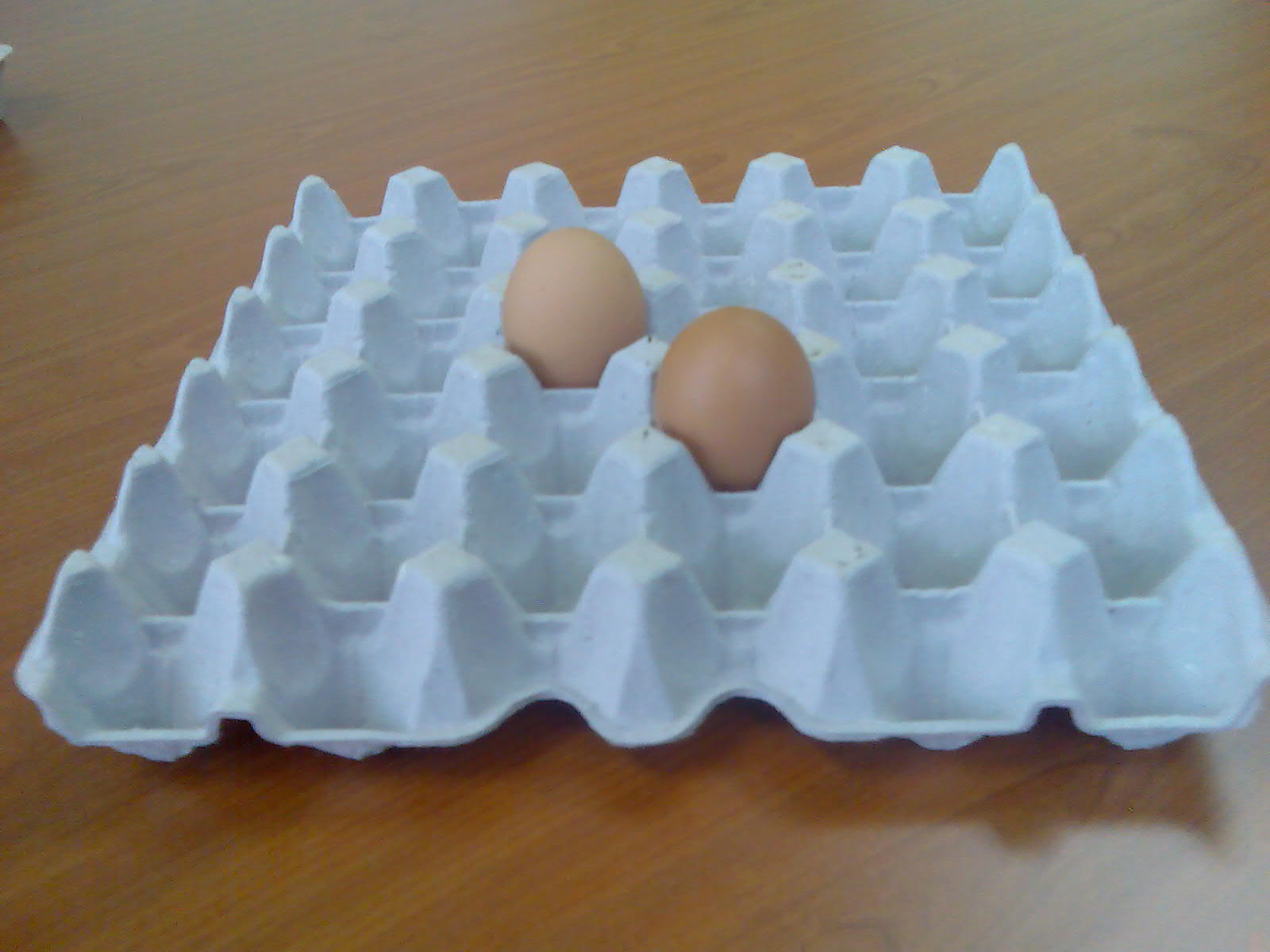 Small Paper Egg Tray Moulding Machine , Paper Pulp Molding Machinery For Bottle Torr