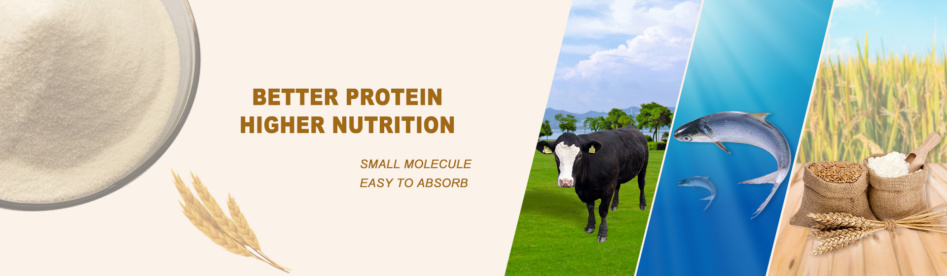 better protein higher nutrition