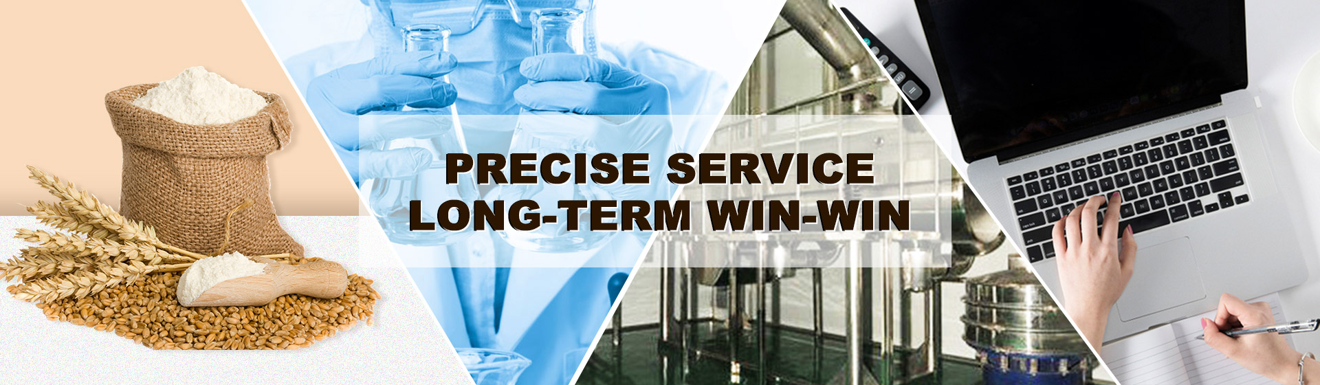 precise service long-term win-win