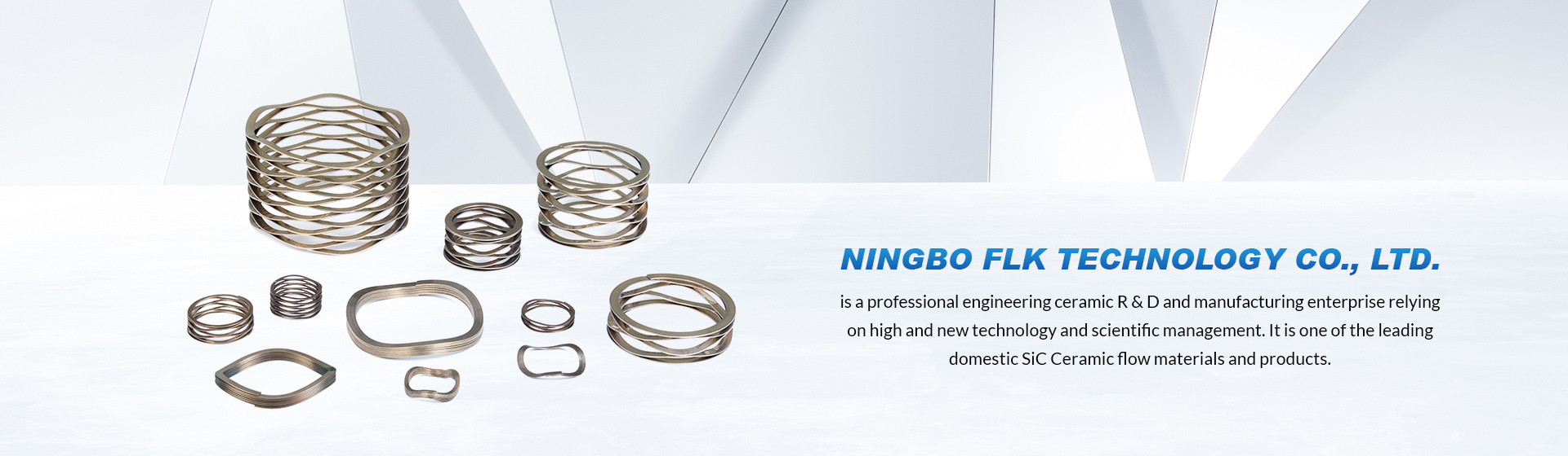 Ningbo FLK Technology Co., Ltd.