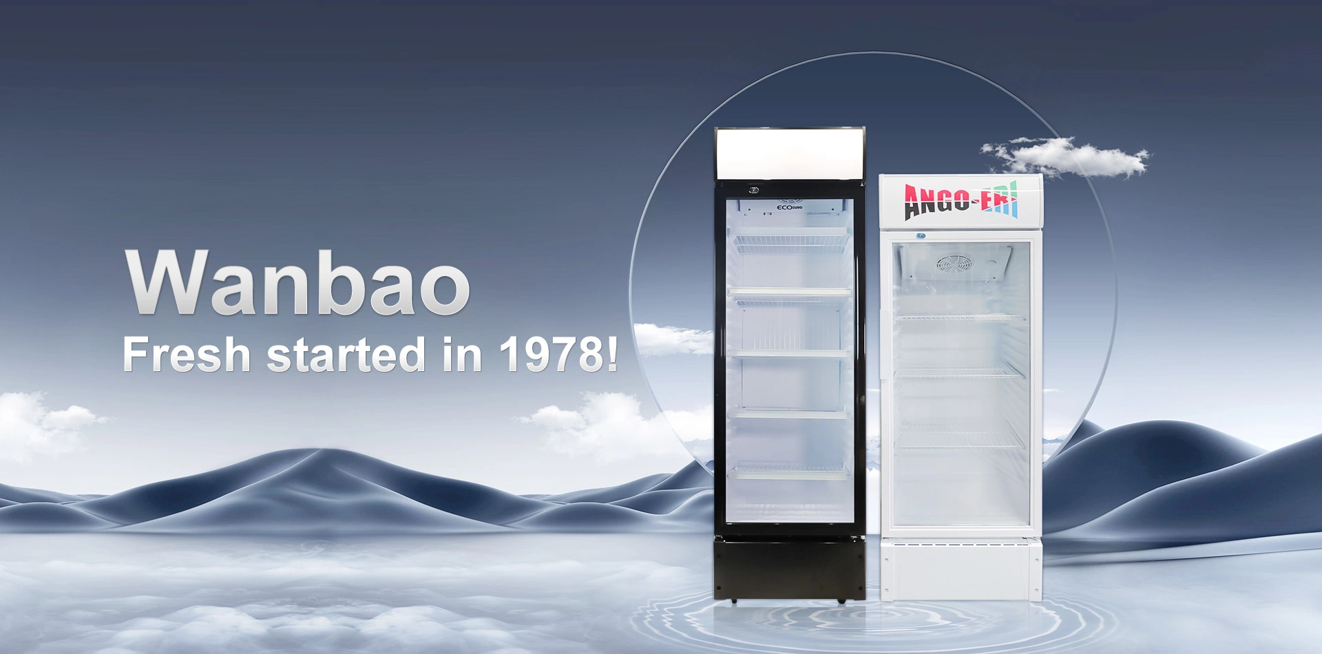 Refrigerator Chest Freezer Wine Cooler Commercial Freezer Car