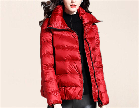 Down Jacket And Coat Fabric