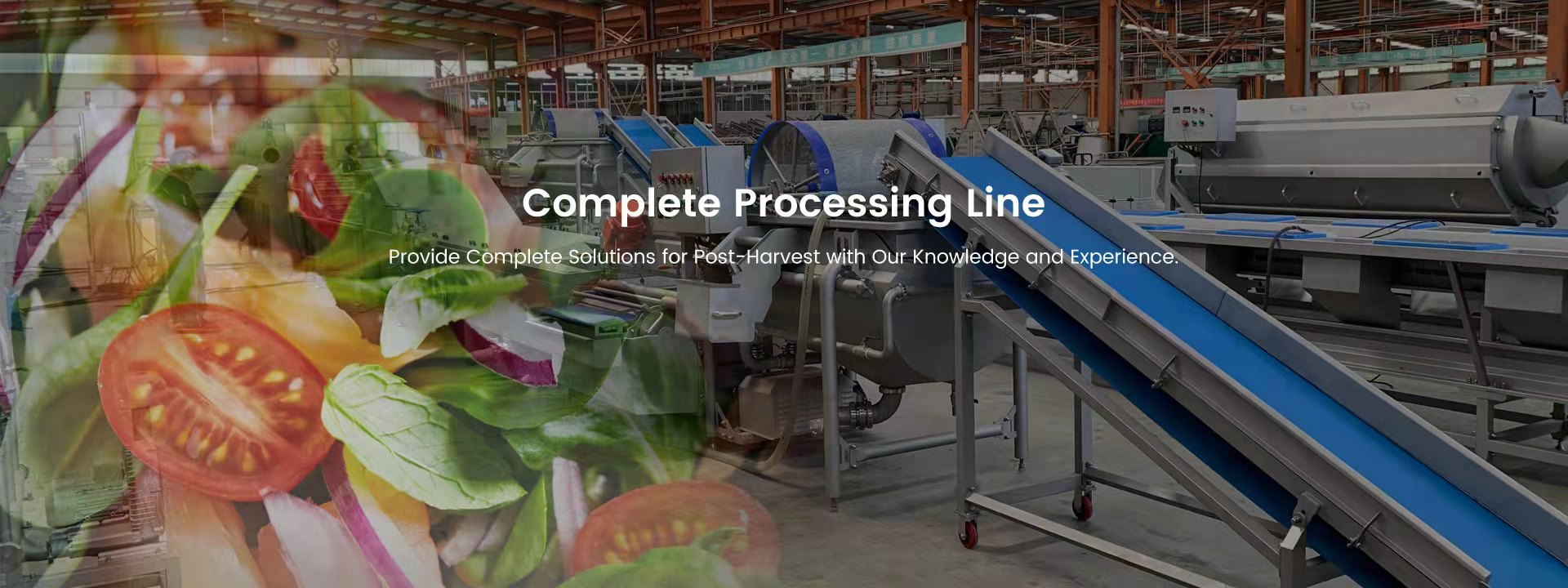 Shandong Colead Intellectualized Food Processing  Equipment Co.,LTD