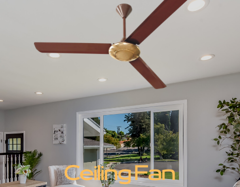 Ceiling Fan