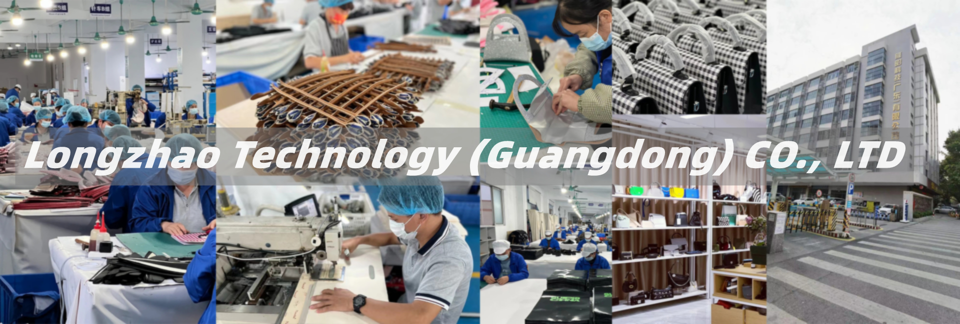 Longzhao Technology (Guangdong) Company Limited