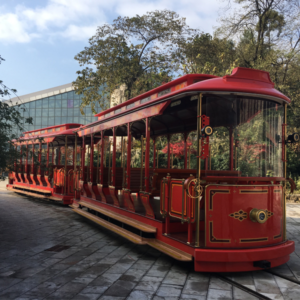 Trem da pista de passeios