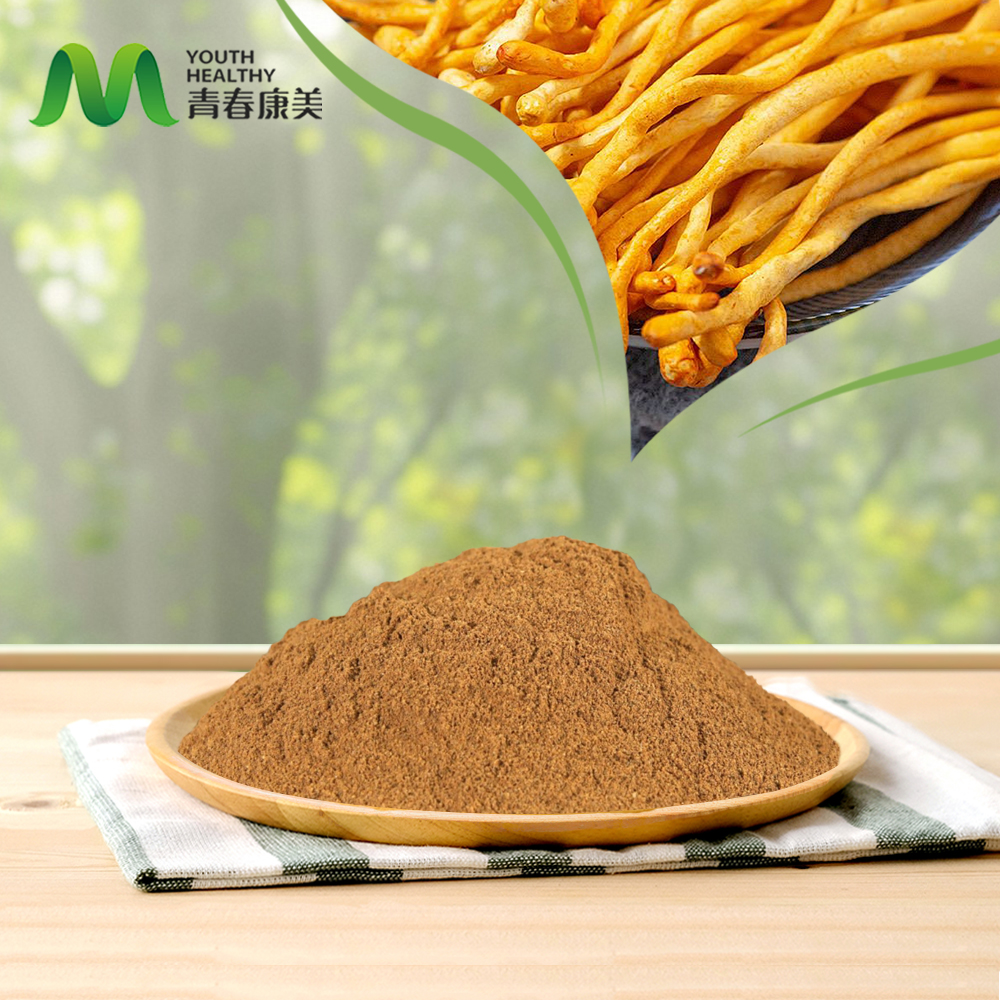 Cordyceps Sinensis Extract