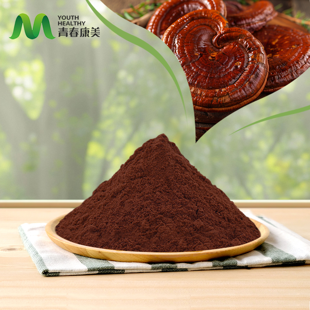 Reishi Extract Powder