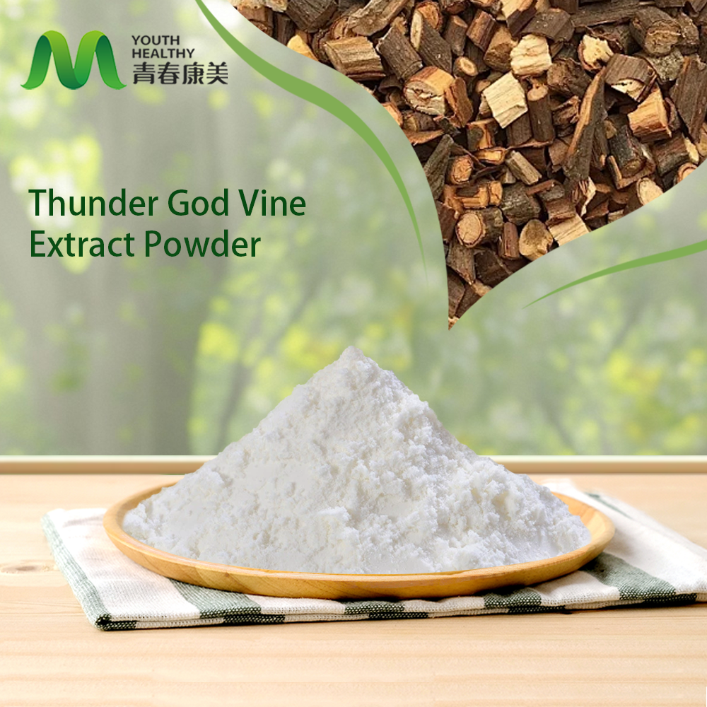 Tripterygium Wilfordii Extract