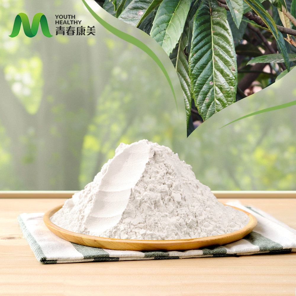 Loquat Leaf Extract