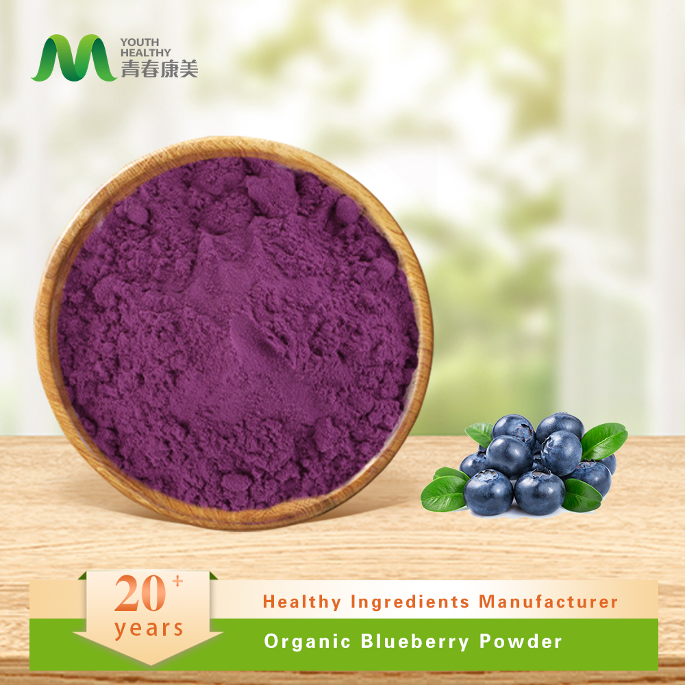 Orgaic Blueberry Powder