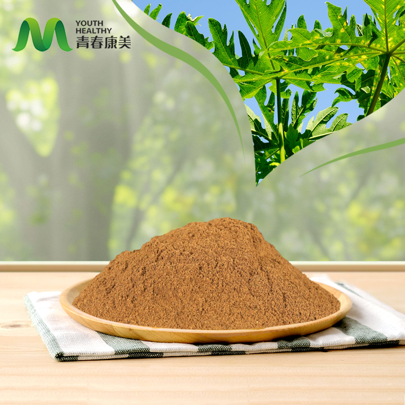 Papaya Leaf Extract