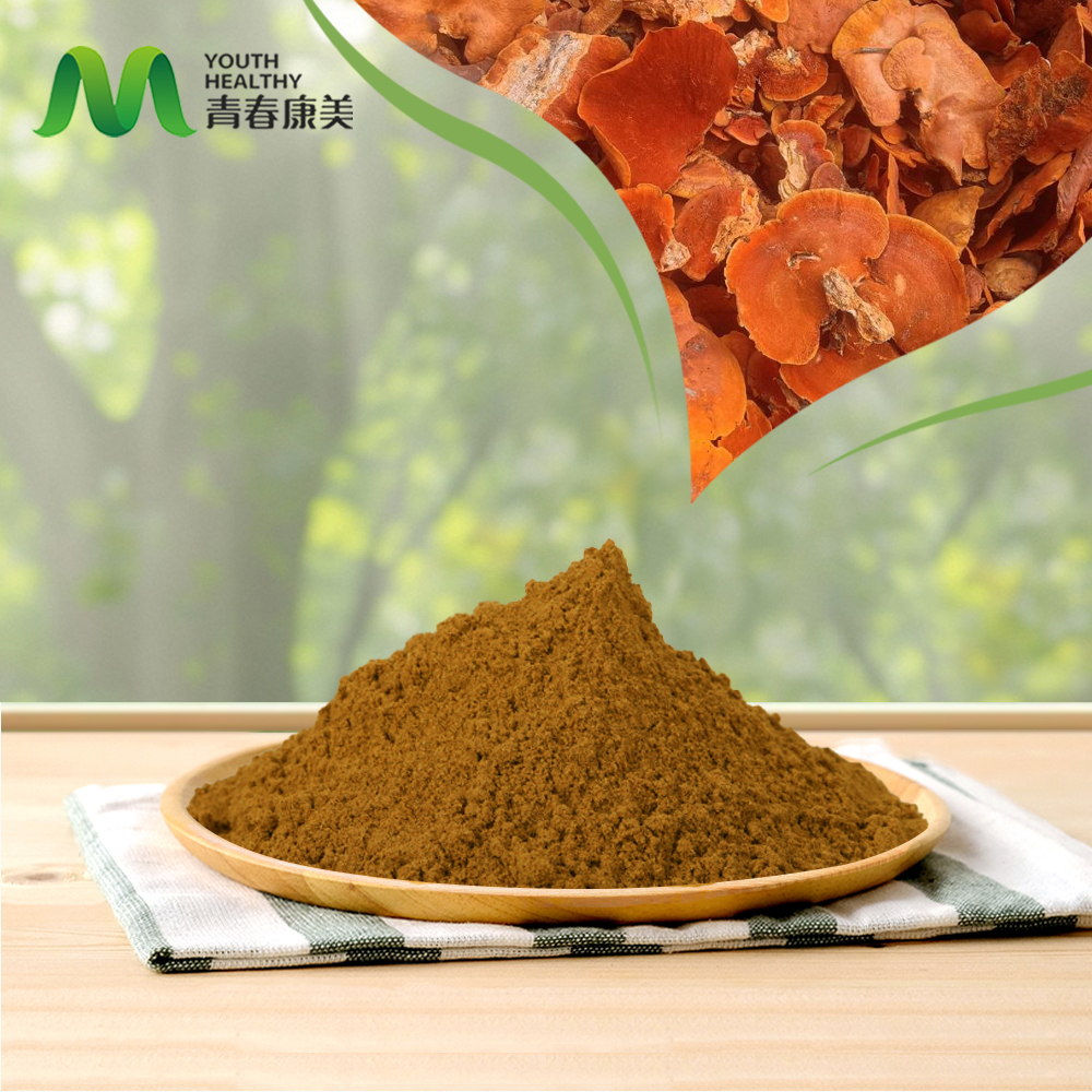 Antrodia Camphorata Extract