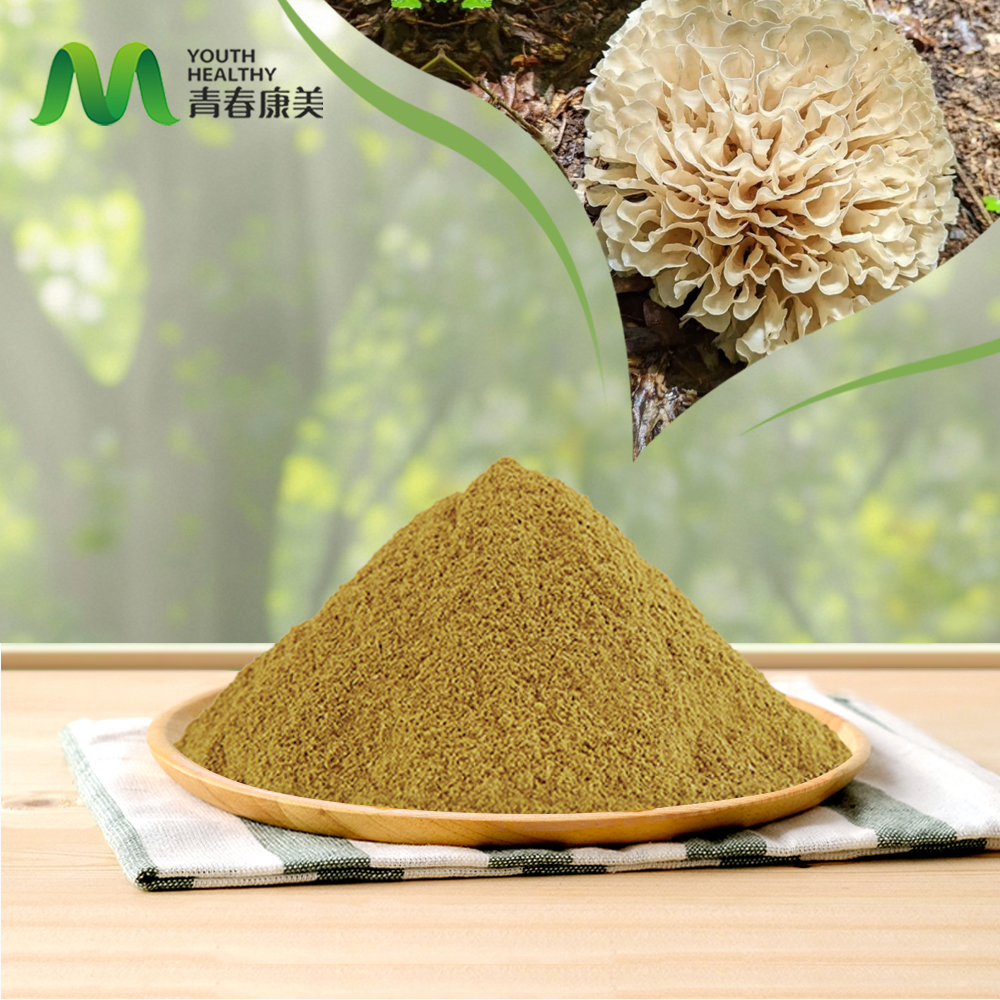 Cauliflower Mushroom Extract