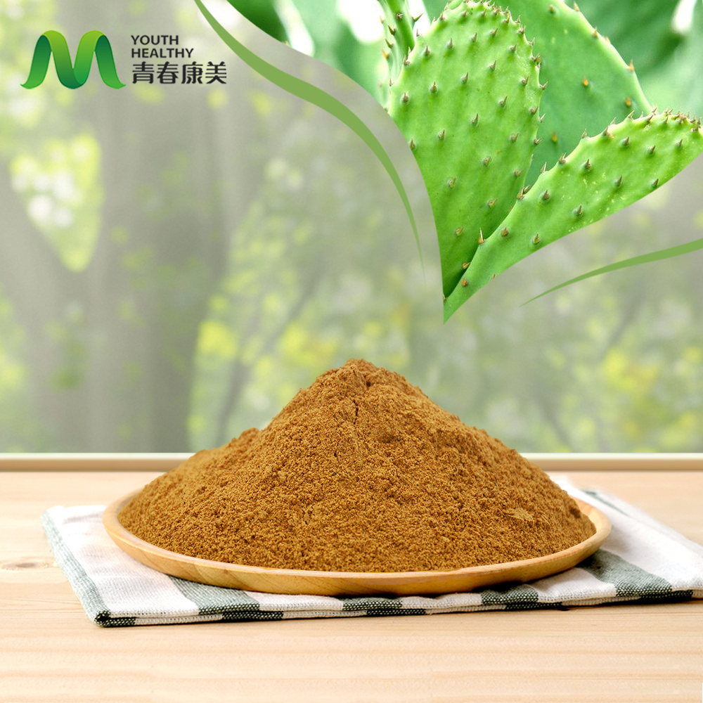 Cactus Extract
