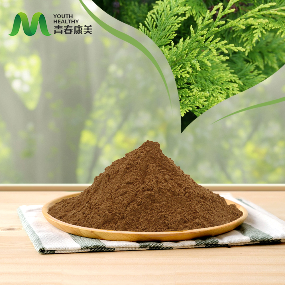 Platycladi Orientalis Leaf Extract