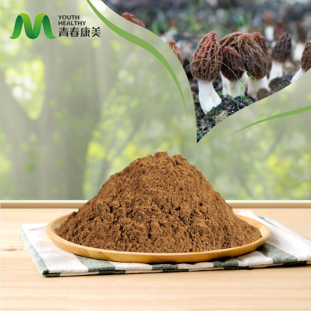 Morel Mushroom Morchella Extract