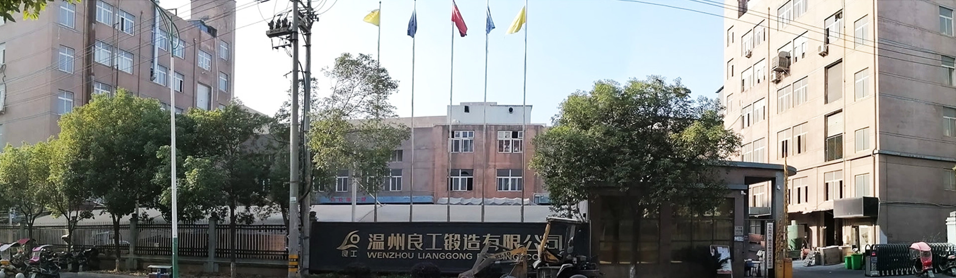 Wenzhou Lianggong Forging Co.,Ltd.