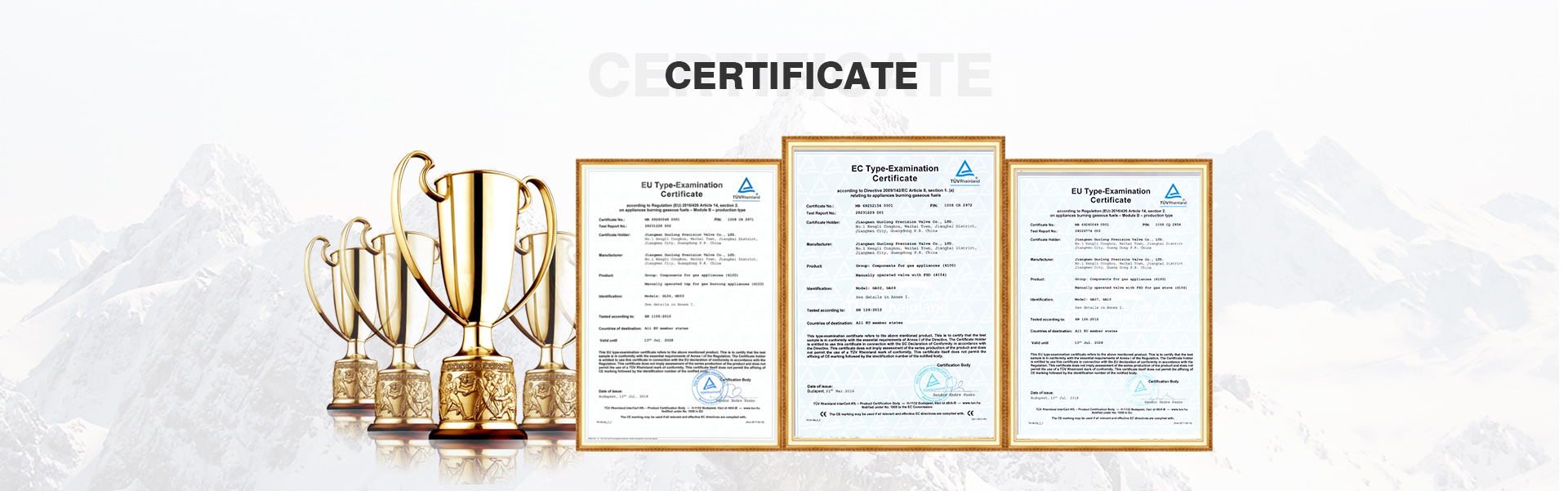 GUOLONG PRECISION VALVE CO.,LTD