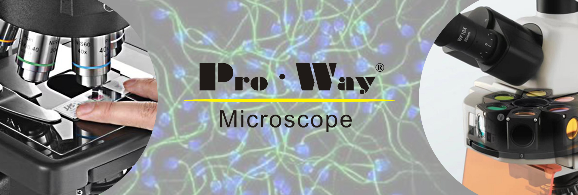 Ningbo ProWay Optics & Electronics Co., Ltd. 