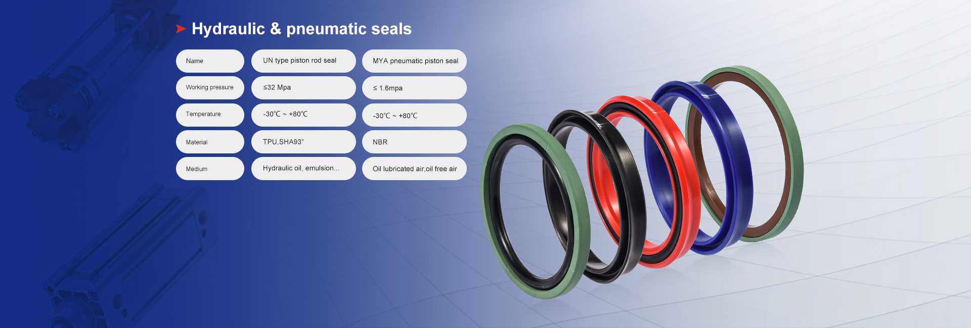 Piston Seals