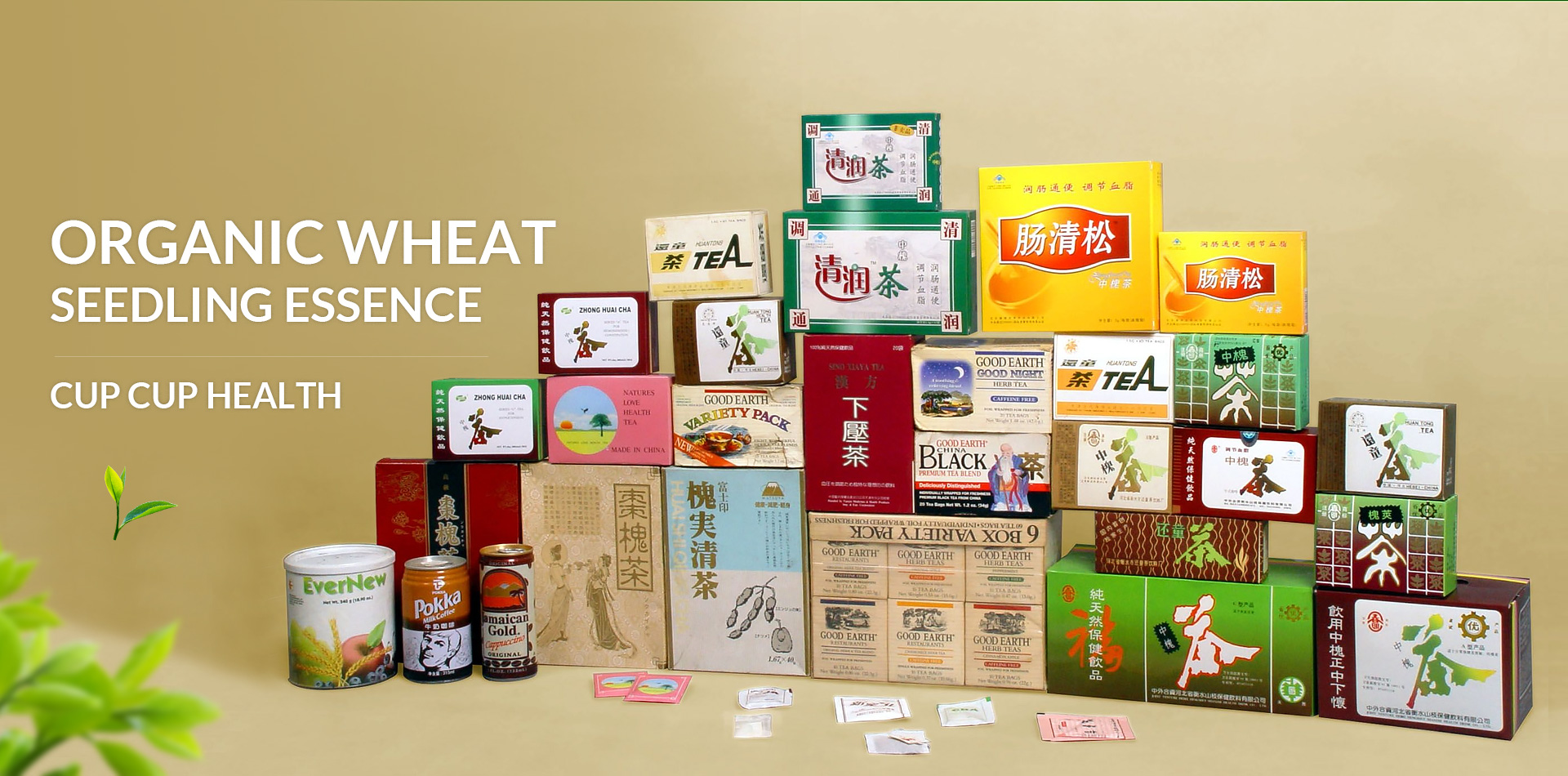 Hengshui Shanzhi Health Drink Co., Ltd