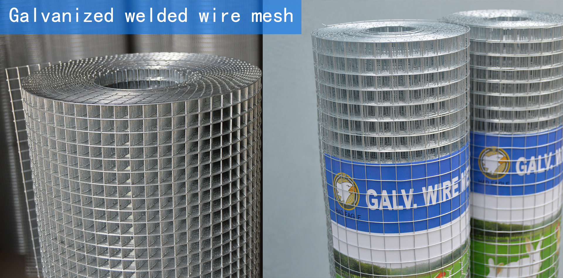 Galvanized welded wire mesh