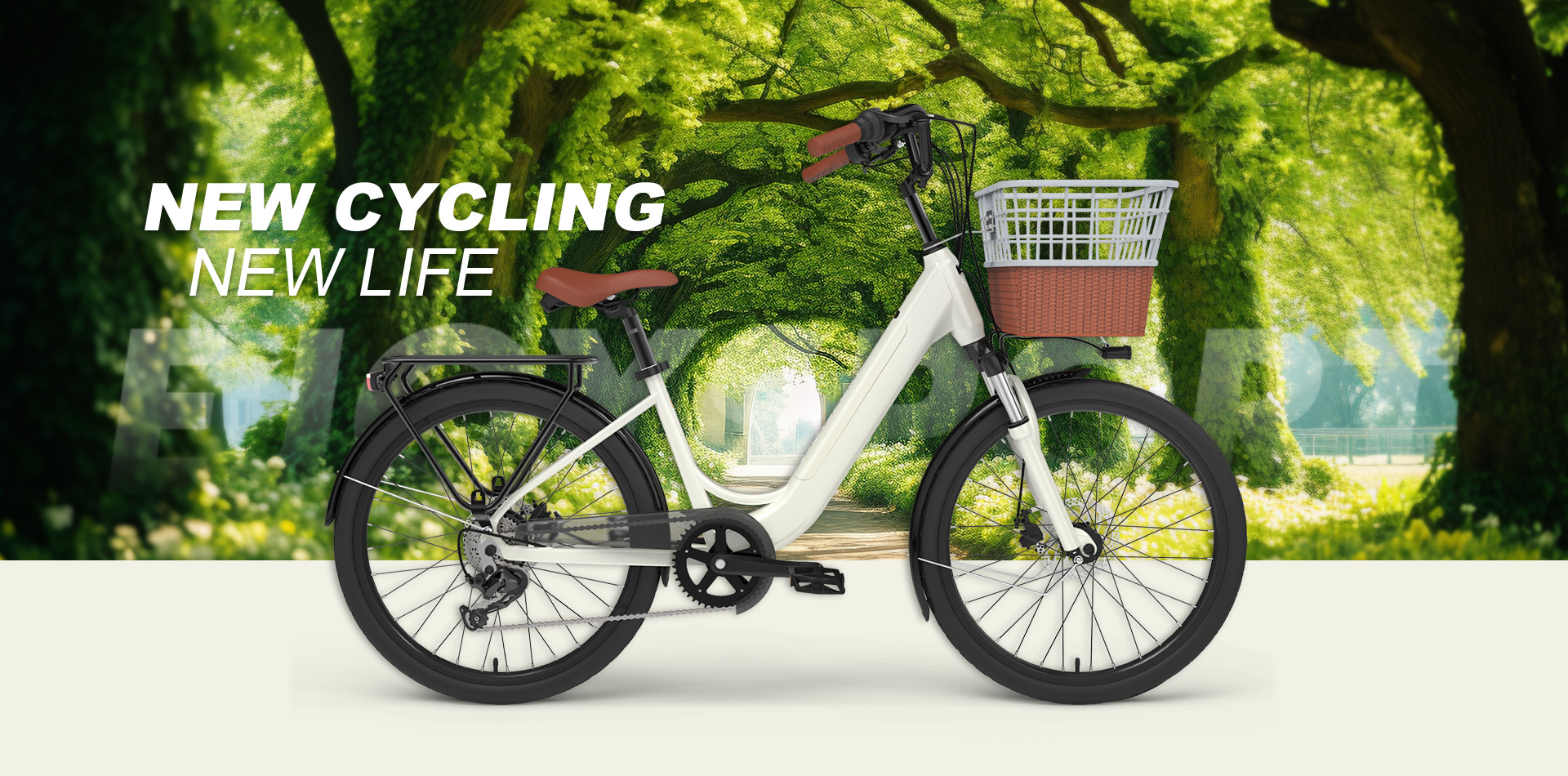 Electric Bicycle