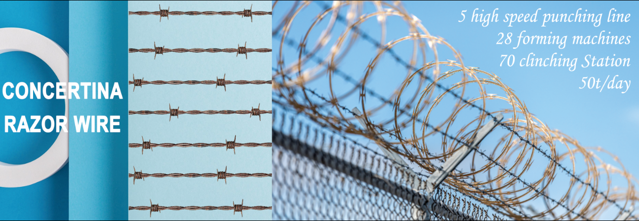 Concertina Barbed Wire