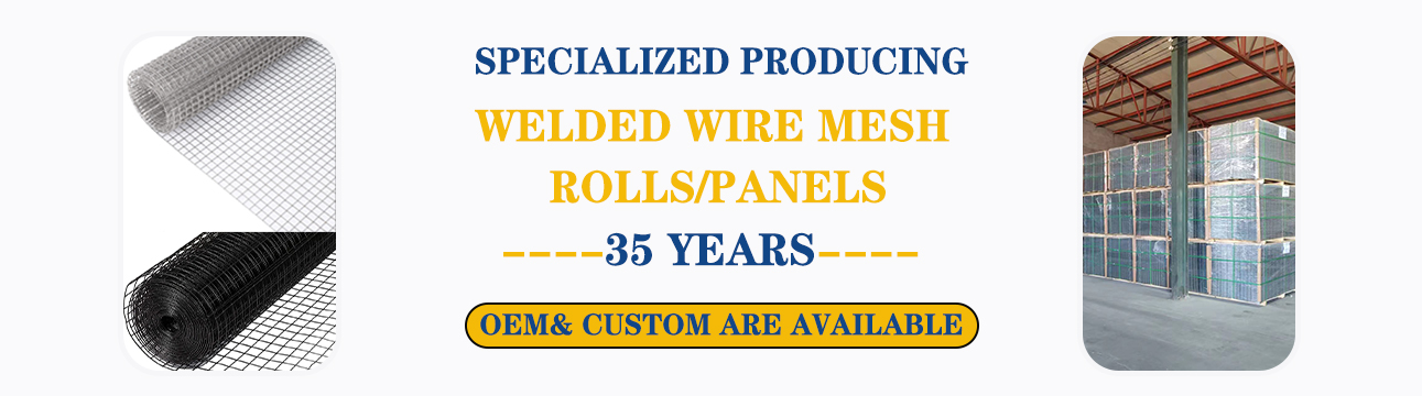 Welded Wire Mesh