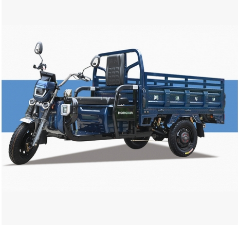 Cargo Electric Vehicle