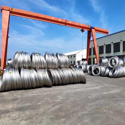 Stainless Steel Wire Rod