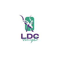 LDC Vinyl Service