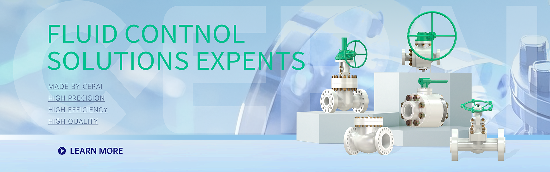 CEPAI Group Co., Ltd.