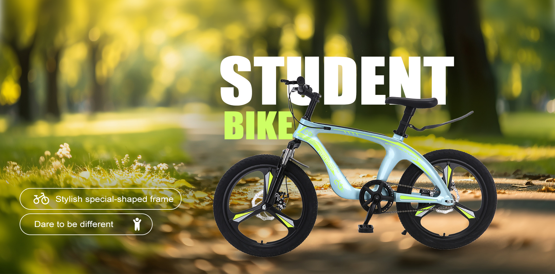 Hebei Skyking Bicycle Techonlogy Co.,Ltd.