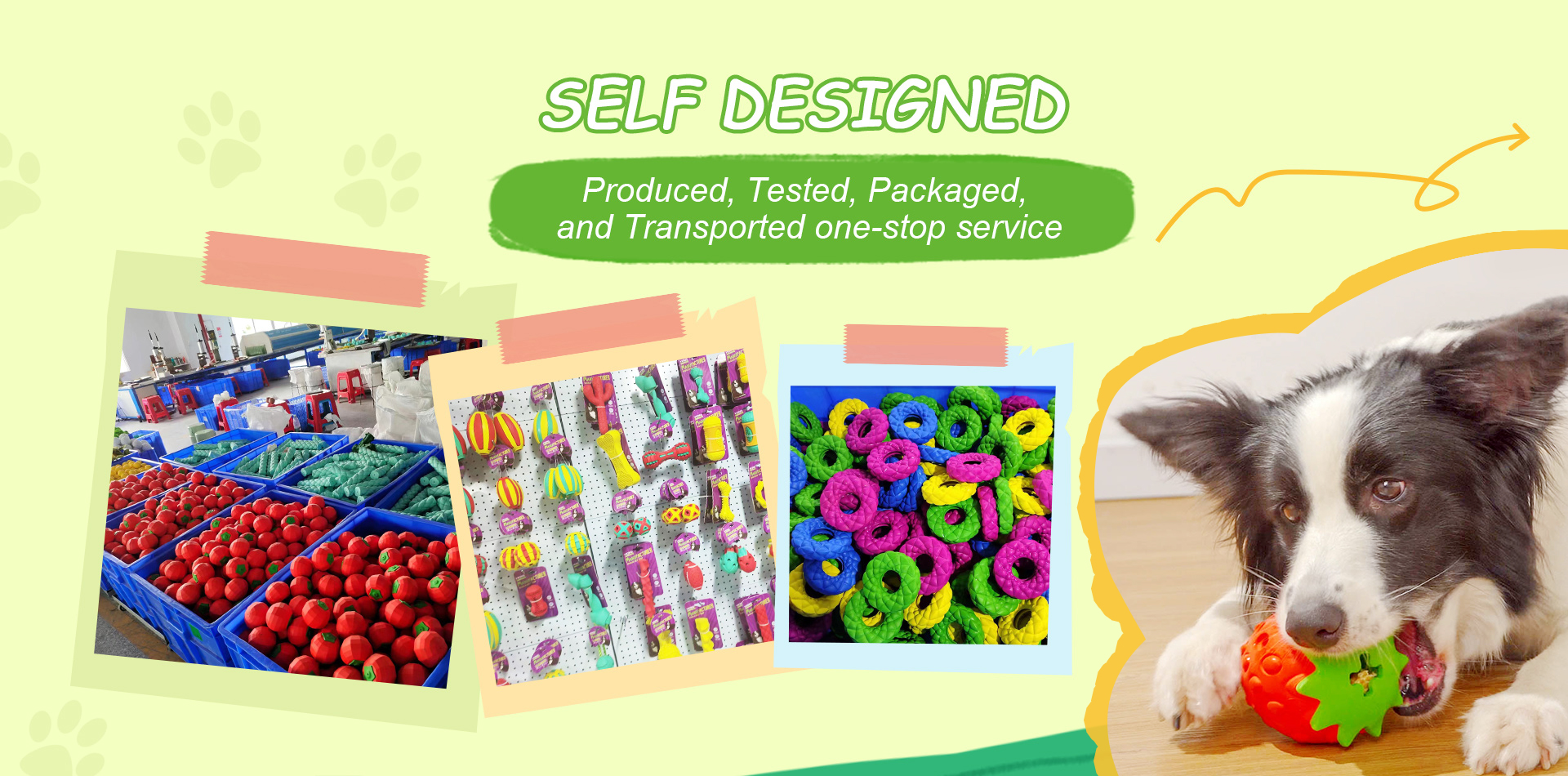 Dongguan King Pet Toys Co.,Ltd