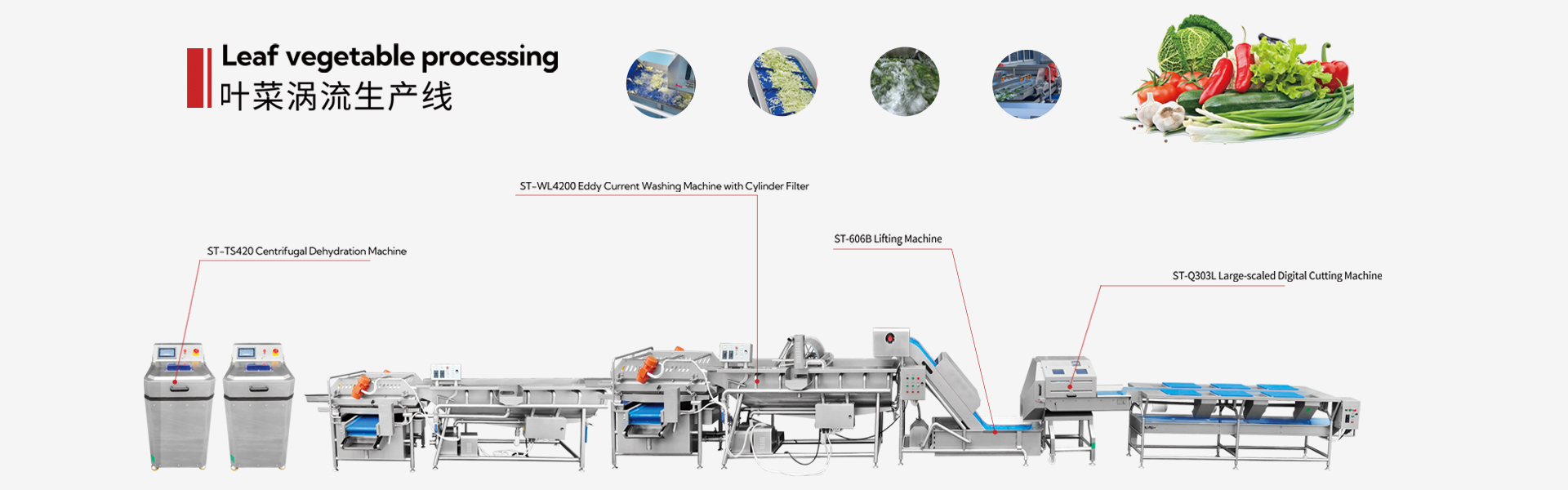 Fruit and vegetable processing machinery