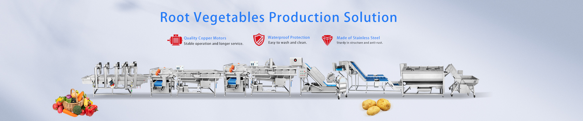 Fruit and Vegetable Processing Line