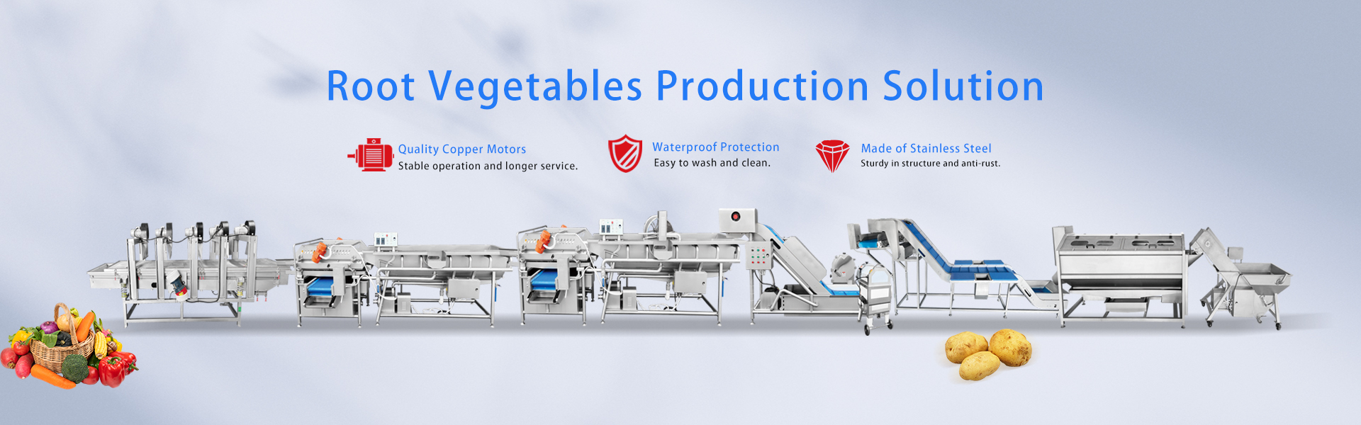 Fruit and Vegetable Processing Line