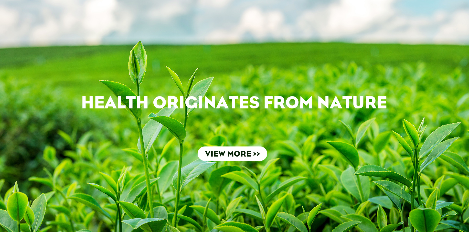 Xi'an Sentian Biotechnology Co., Ltd.