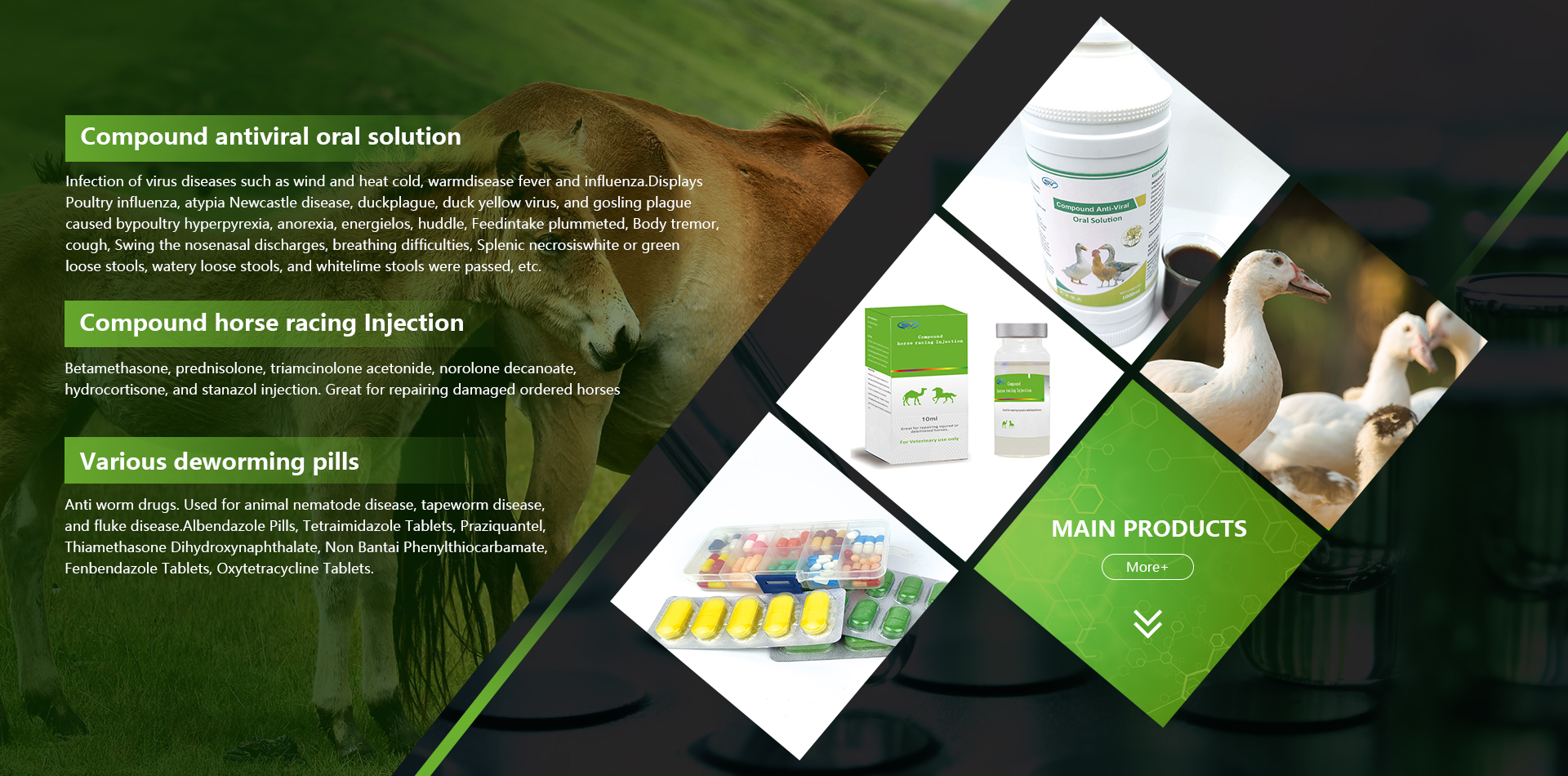 Henan ShowVet Industrial Co., Ltd.